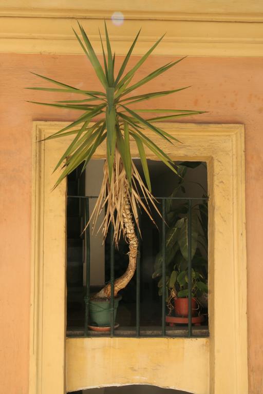 Casa Mia A Trastevere Apartment Rome Exterior photo